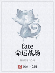 fate命运战场