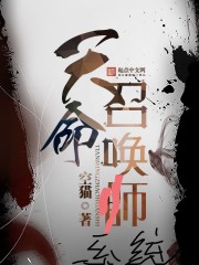 天命召唤师系统 作者：空猫