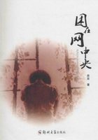 困在网中央