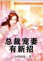 总裁宠妻有新招