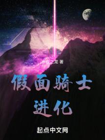 假面骑士：进化